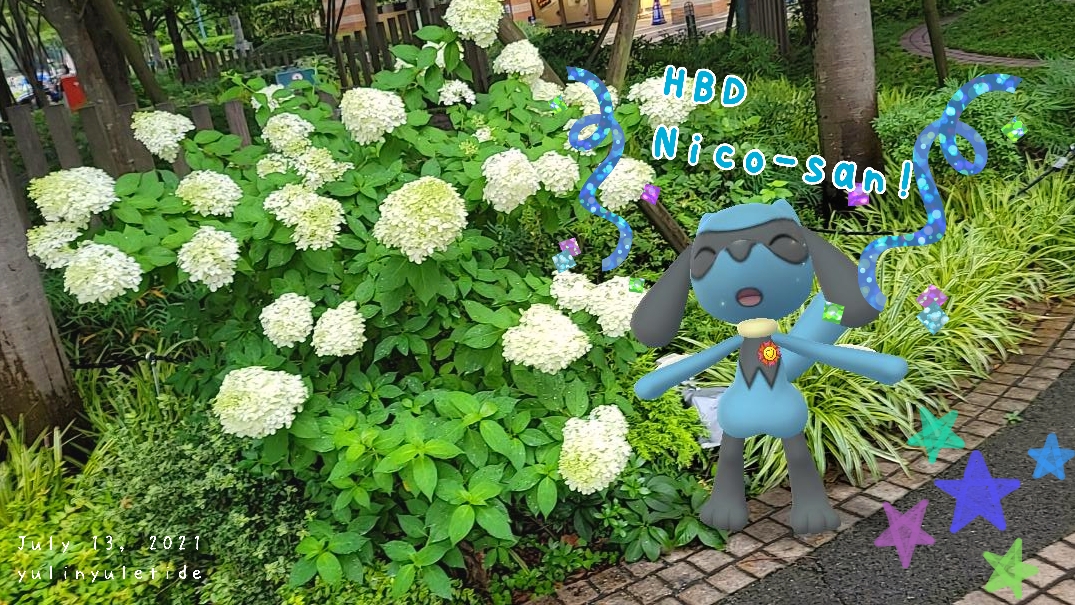 f:id:yulinyuletide:20210713174315j:plain