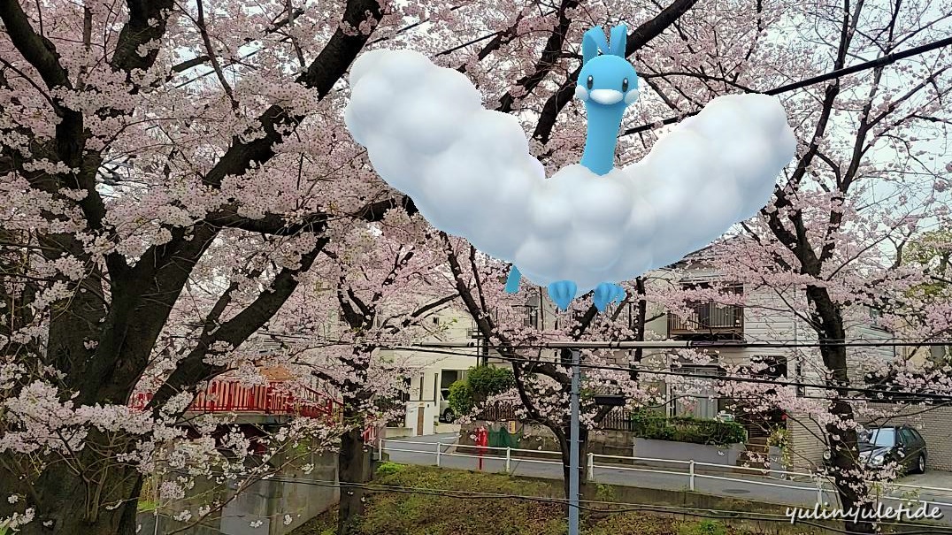 花曇りにチルタリス 桜坂 ポケモンgoar写真 Yuletide Blog 花曇りにチルタリス 桜坂 ポケモンgoar写真 Yuletide Blog