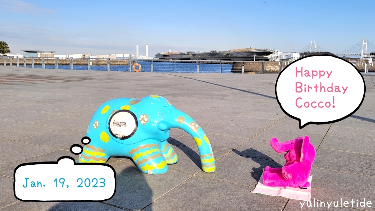 Happy Birthday Cocco!【ポケモンGOAR写真】ぞうさんのぬいぐるみと