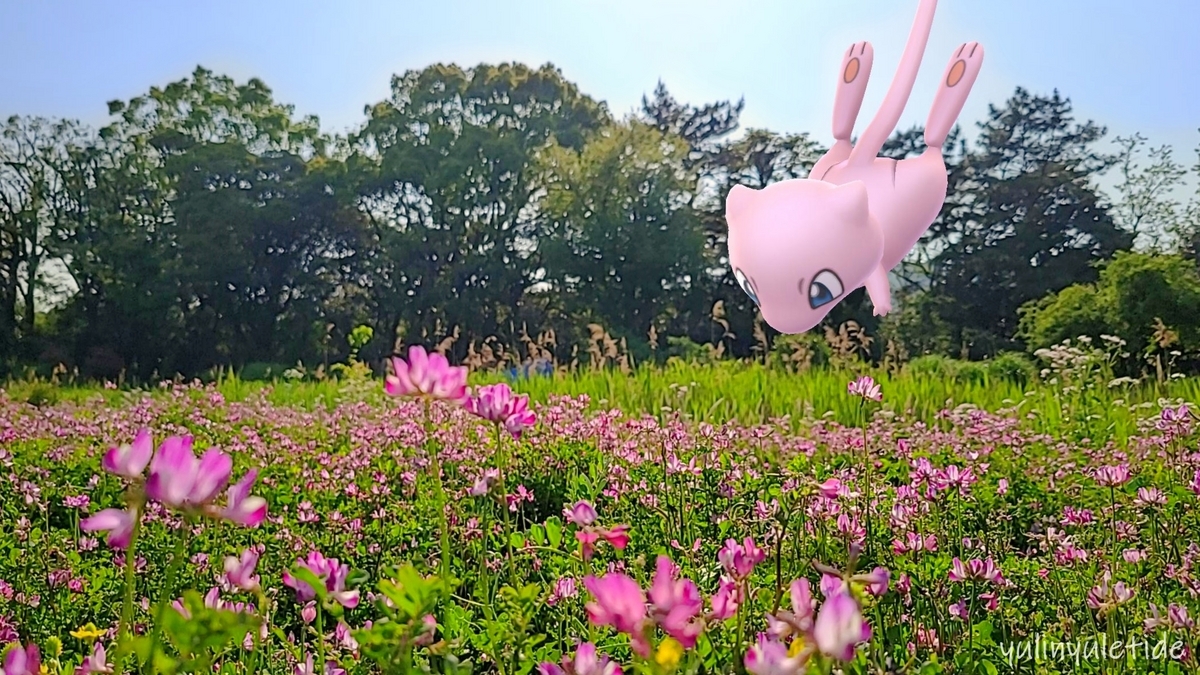 東京でれんげ畑を探したら【ポケモンGOAR写真】東京港野鳥公園