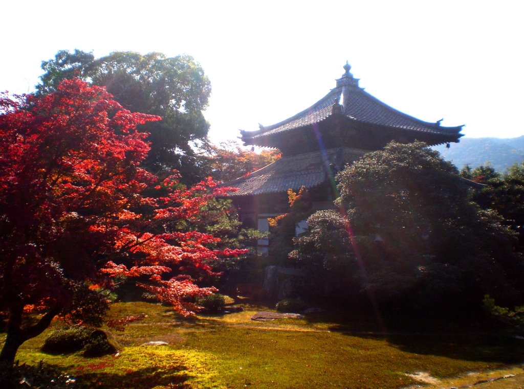 f:id:yuluttoKyoto:20161122153156j:plain