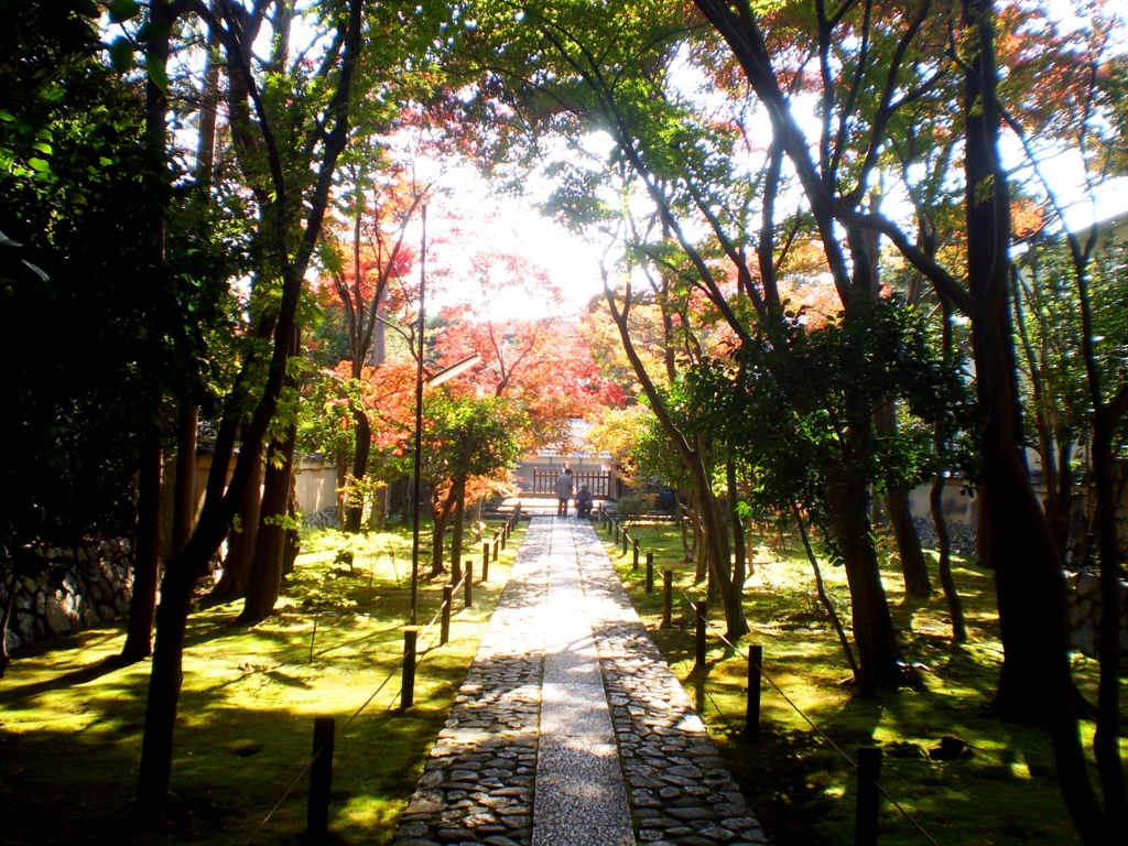 f:id:yuluttoKyoto:20161122153244j:plain