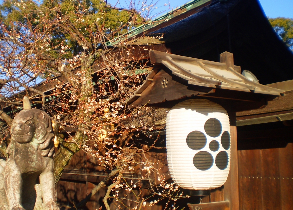 f:id:yuluttoKyoto:20170130233111j:plain f:id:yuluttoKyoto:20170130233111j:plain