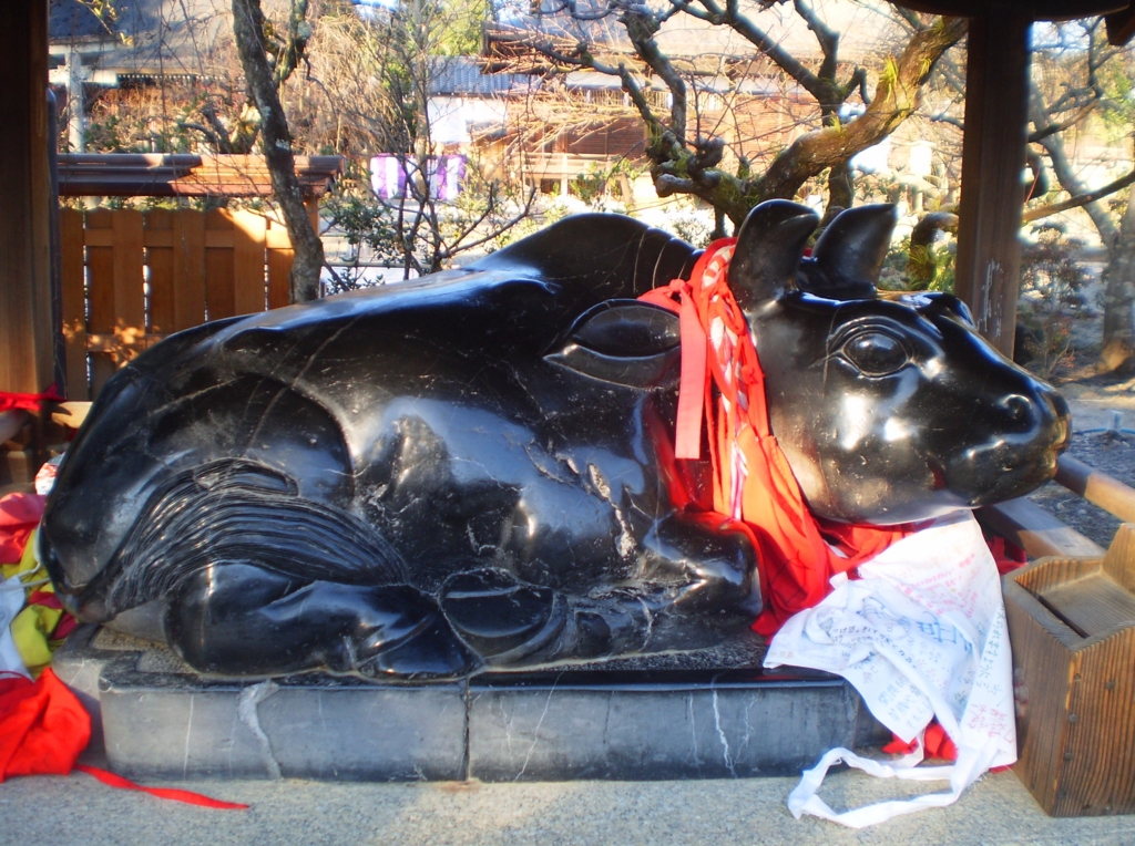 f:id:yuluttoKyoto:20170130233133j:plain f:id:yuluttoKyoto:20170130233133j:plain