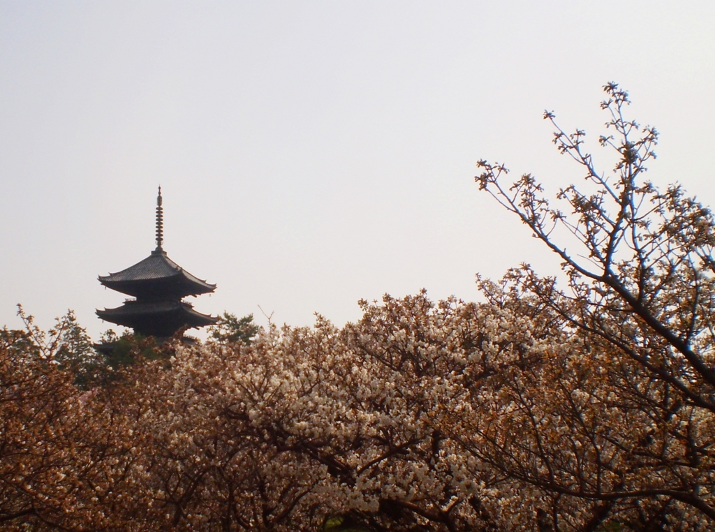 f:id:yuluttoKyoto:20170527145529j:plain f:id:yuluttoKyoto:20170527145529j:plain