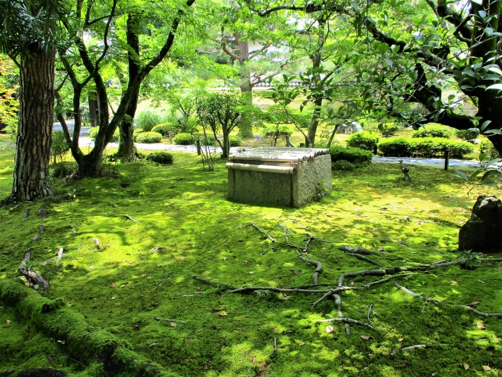 f:id:yuluttoKyoto:20170702114733j:plain f:id:yuluttoKyoto:20170702114733j:plain