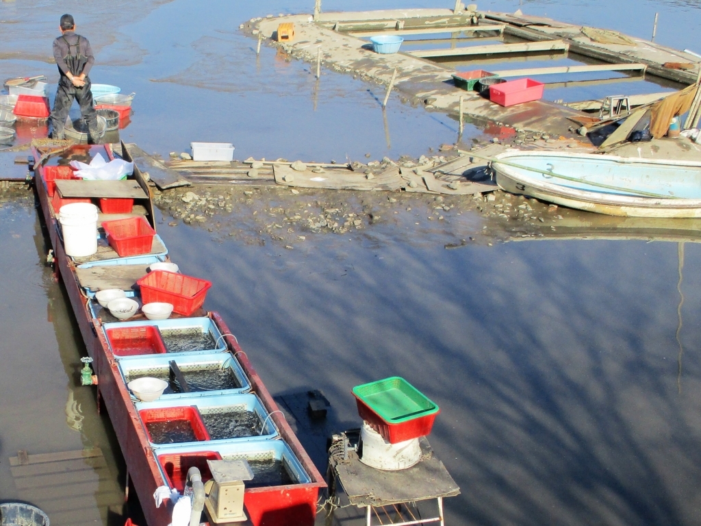 f:id:yuluttoKyoto:20171204232217j:plain