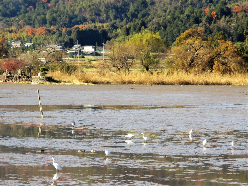 f:id:yuluttoKyoto:20171204232445j:plain