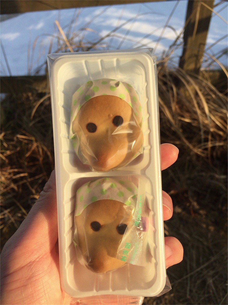 f:id:yuma-san4890:20170220111122j:image f:id:yuma-san4890:20170220111122j:image