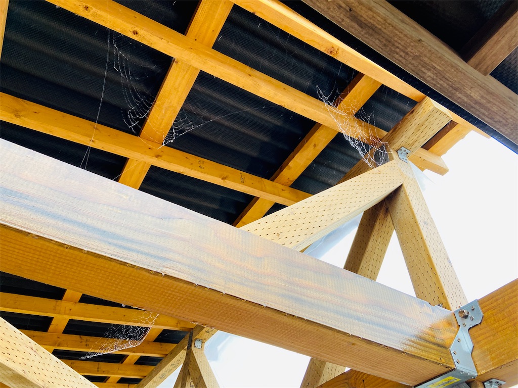 f:id:yumak0:20200926111249j:image