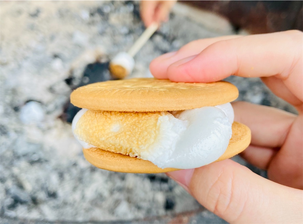 f:id:yumak0:20200926111353j:image