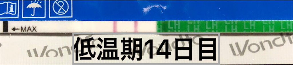 f:id:yumameco:20180924171156p:image f:id:yumameco:20180924171156p:image
