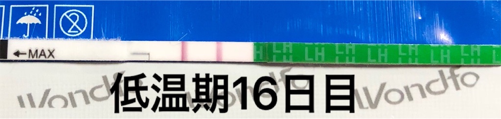f:id:yumameco:20180926152934j:image f:id:yumameco:20180926152934j:image