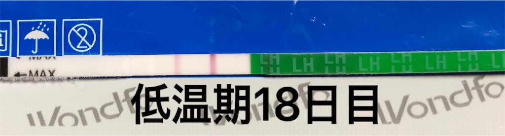 f:id:yumameco:20180928095006j:image f:id:yumameco:20180928095006j:image