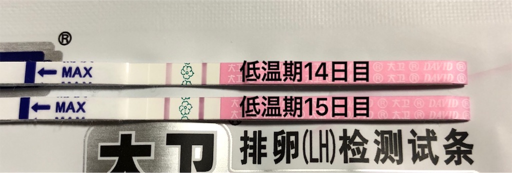 f:id:yumameco:20181026174647j:image f:id:yumameco:20181026174647j:image