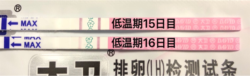 f:id:yumameco:20181027211937j:image f:id:yumameco:20181027211937j:image