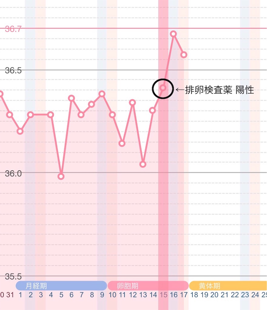f:id:yumameco:20181028222130j:image f:id:yumameco:20181028222130j:image