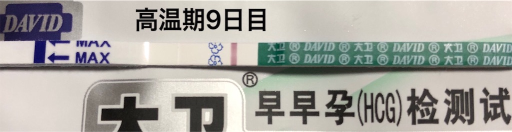 f:id:yumameco:20181104193036j:image f:id:yumameco:20181104193036j:image
