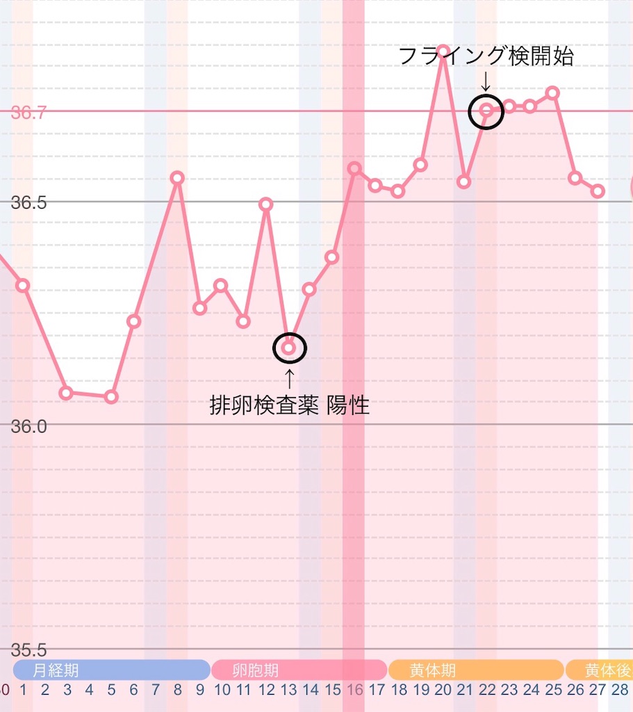 f:id:yumameco:20181207170721j:image f:id:yumameco:20181207170721j:image