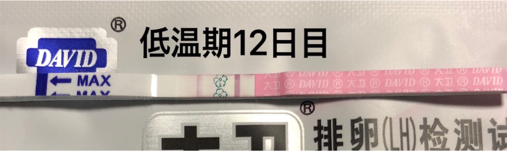 f:id:yumameco:20181219153538j:image f:id:yumameco:20181219153538j:image
