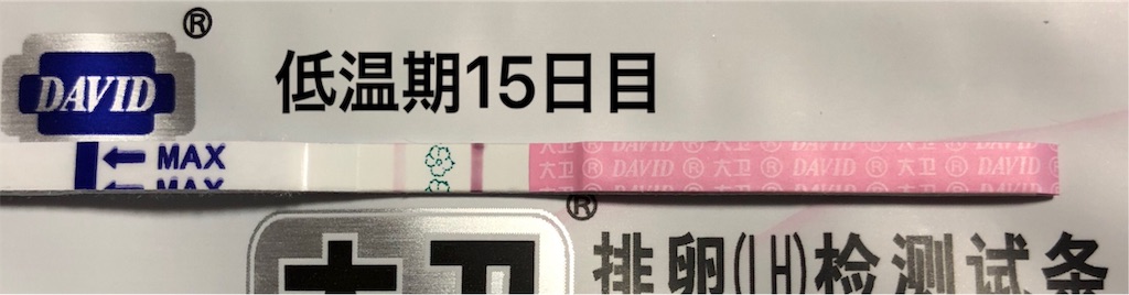 f:id:yumameco:20181222104401j:image f:id:yumameco:20181222104401j:image