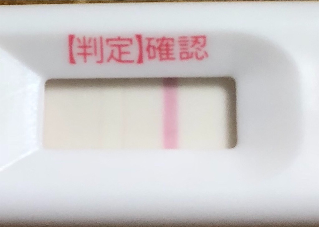 f:id:yumameco:20190102075326j:image f:id:yumameco:20190102075326j:image