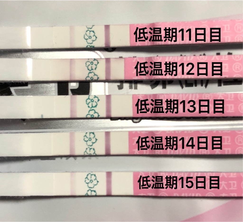 f:id:yumameco:20190104145630j:image f:id:yumameco:20190104145630j:image