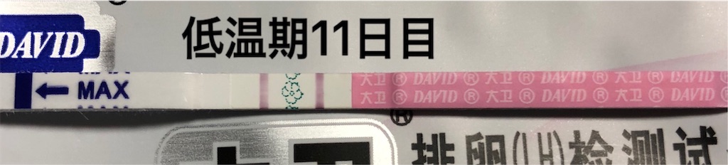 f:id:yumameco:20190115114703j:image f:id:yumameco:20190115114703j:image