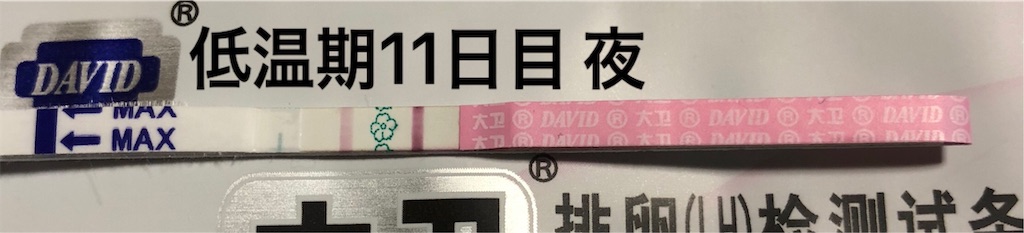 f:id:yumameco:20190116161809j:image f:id:yumameco:20190116161809j:image
