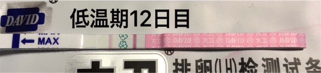 f:id:yumameco:20190116161821j:image f:id:yumameco:20190116161821j:image