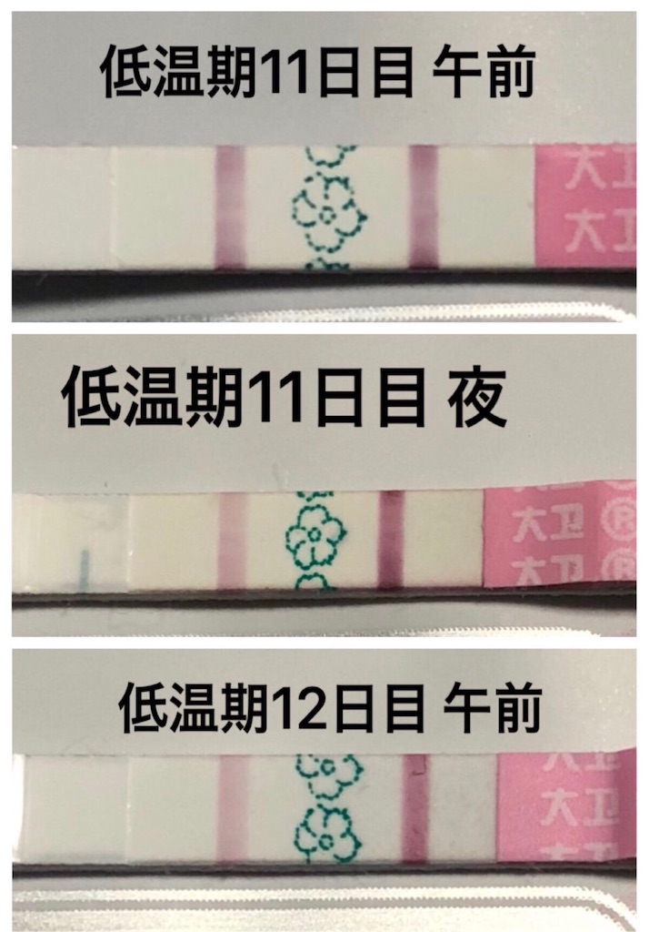 f:id:yumameco:20190116182707j:image f:id:yumameco:20190116182707j:image
