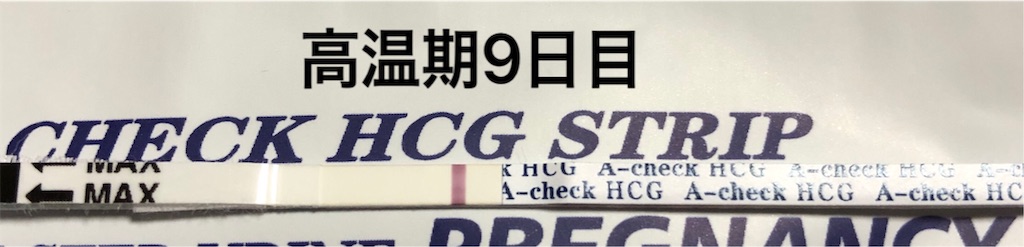 f:id:yumameco:20190125134500j:image f:id:yumameco:20190125134500j:image