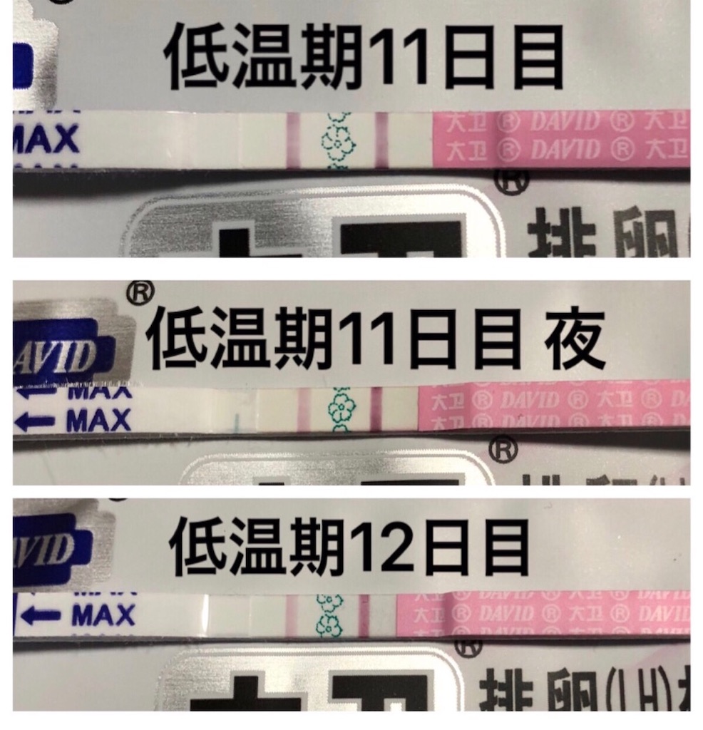 f:id:yumameco:20190125142828j:image f:id:yumameco:20190125142828j:image