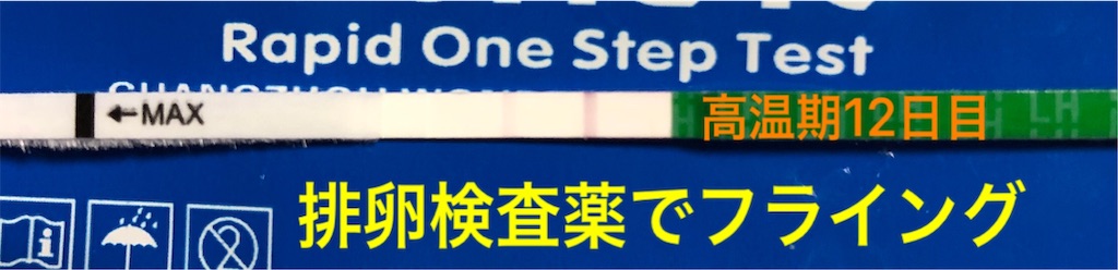 f:id:yumameco:20190128092750j:image f:id:yumameco:20190128092750j:image