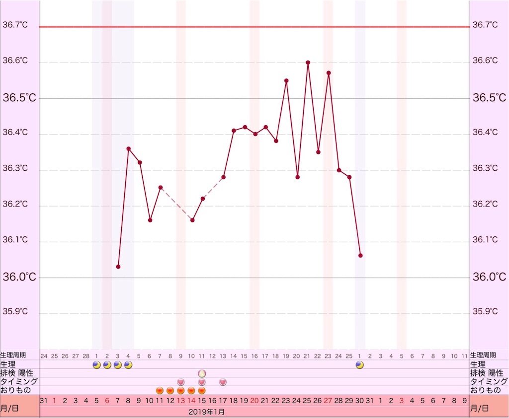 f:id:yumameco:20190130122231j:image f:id:yumameco:20190130122231j:image