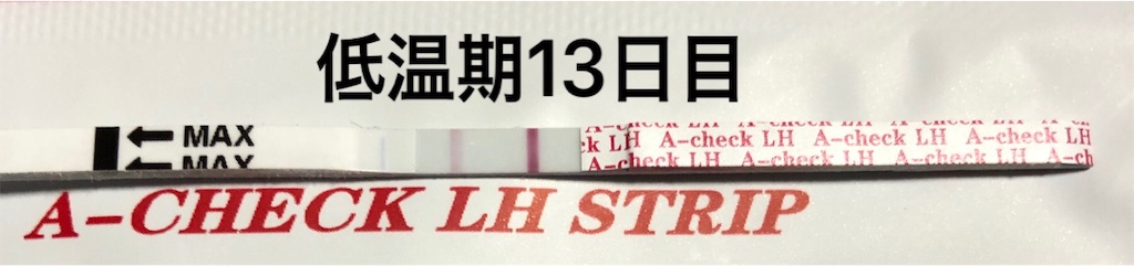 f:id:yumameco:20190211165514j:image f:id:yumameco:20190211165514j:image