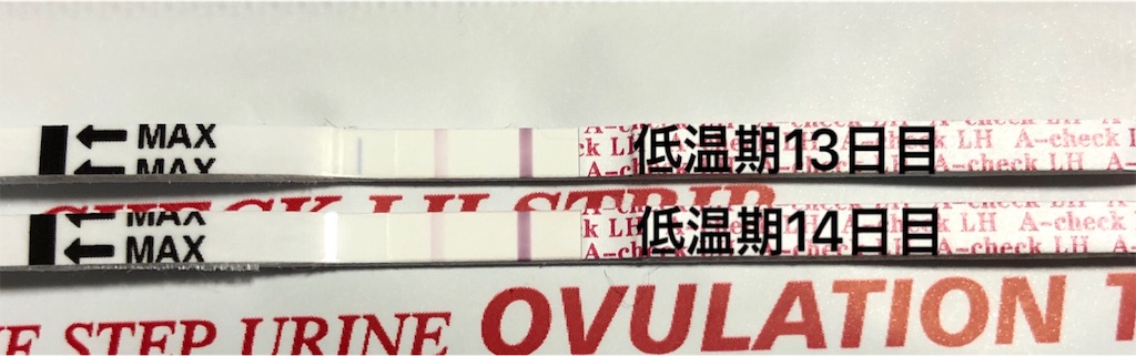 f:id:yumameco:20190212133648j:image f:id:yumameco:20190212133648j:image