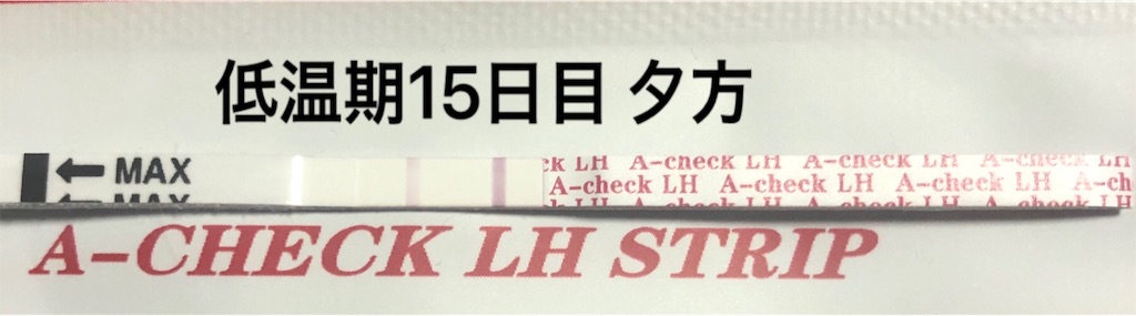 f:id:yumameco:20190213180641j:image f:id:yumameco:20190213180641j:image