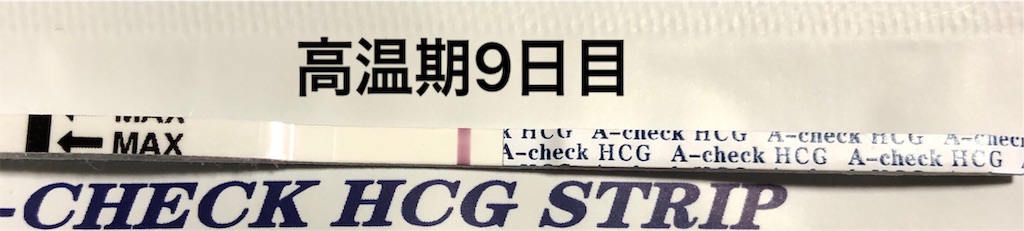 f:id:yumameco:20190224100540j:image f:id:yumameco:20190224100540j:image
