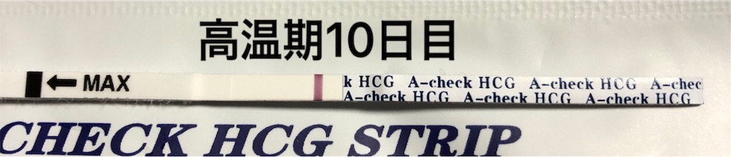 f:id:yumameco:20190225150921j:image f:id:yumameco:20190225150921j:image