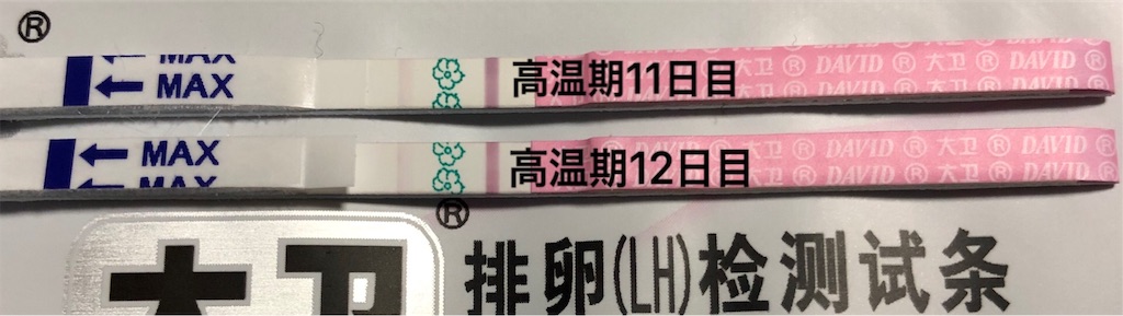 f:id:yumameco:20190227155118j:image f:id:yumameco:20190227155118j:image
