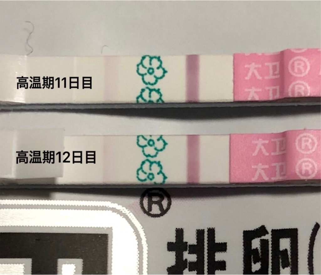 f:id:yumameco:20190227155130j:image f:id:yumameco:20190227155130j:image