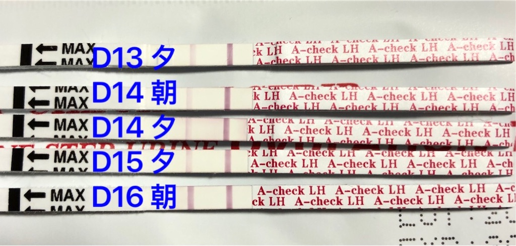 f:id:yumameco:20190302094538j:image f:id:yumameco:20190302094538j:image