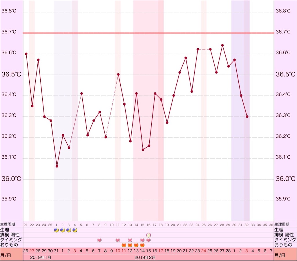 f:id:yumameco:20190302174132j:image f:id:yumameco:20190302174132j:image