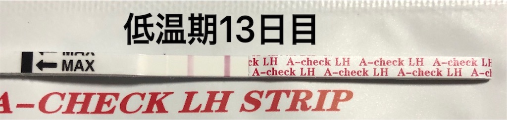 f:id:yumameco:20190314122907j:image f:id:yumameco:20190314122907j:image