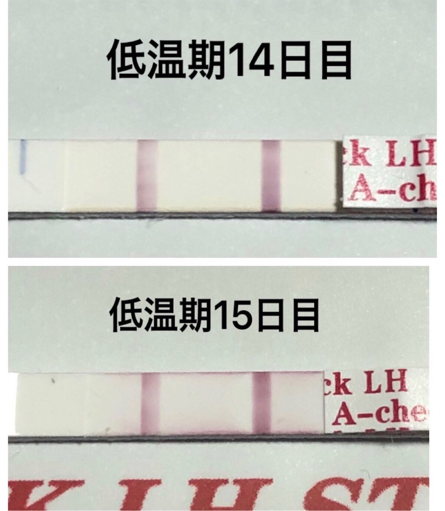 f:id:yumameco:20190316112705j:image f:id:yumameco:20190316112705j:image