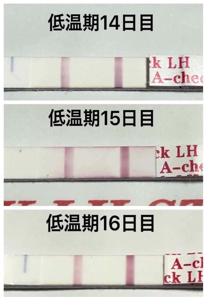 f:id:yumameco:20190317110615j:image f:id:yumameco:20190317110615j:image