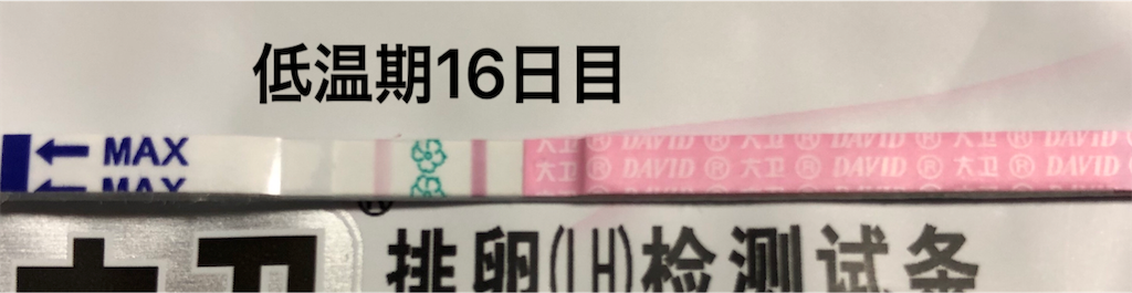 f:id:yumameco:20190317155442p:image f:id:yumameco:20190317155442p:image
