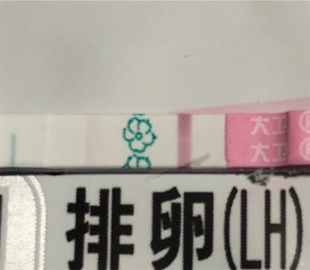 f:id:yumameco:20190318155058j:image f:id:yumameco:20190318155058j:image