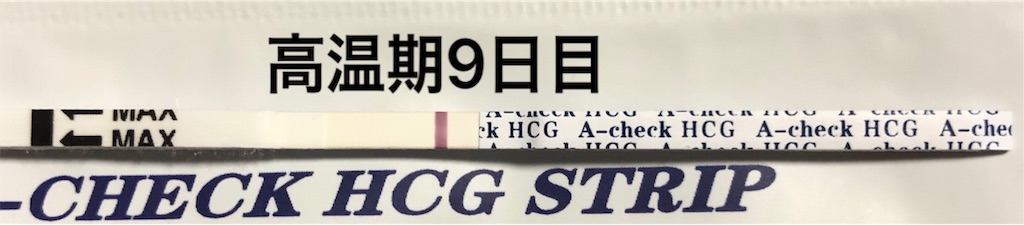 f:id:yumameco:20190326133028j:image f:id:yumameco:20190326133028j:image